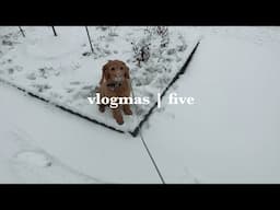 Vlogmas Ep. 5 | Winterfest and Luna's First Snow.