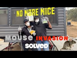 🐁How We Got Rid of MICE in our Brand NEW TINY Home🏡#tinyhouse #offgrid #homestead #rvlife #home #rv