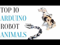 Top 10 Arduino Robot Animals