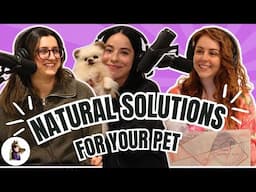 Natural Solutions For Your Pets Pain & Anxiety | Mellow Bear Inc.