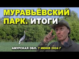 Муравьёвский парк. 3/3. Итоги. 7 июня 2024 г.