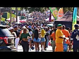 FAMU Homecoming 2024: It's Not Just An Event; It's An Experience.