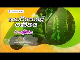 ගොවිපලේ ගණිතය  | 06 ශ්‍රේණිය (ගණිතය)