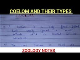 COELOM AND THEIR TYPES ||BSC ZOOLOGY NOTES||MSC ZOOLOGY NOTES #vbu #bbmku #bhu #mu