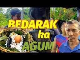 TERNYATA BEDARAK KE AGUM ADALAH SALAH SATU RITUAL SUKU DAYAK IBAN LAUK RUGUN menjelang GAWAI DAYAK