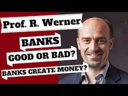 ARE BANKS GOOD OR BAD? Prof. Richard Werner on Financial Sector Problems & Money Creation.