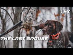 The Last Ruffed Grouse  #ruffedgrouse #uplandhunting