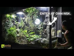 Journey Into My Giant Rainforest Vivarium