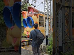 Have you ever seen these 'dog' trains in Japan before?