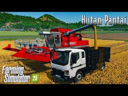 Straw Baling Contract & New Wheat Field Harvest on Hutan Pantai - Farming Simulator 25! | Ep. 02