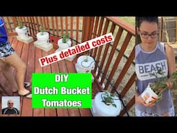 DIY Dutch Bucket Tomatoes