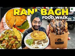 Exploring the Best Food Options in Rani Bagh, Pitampura Delhi Food Walk