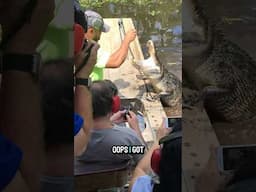 Alligators 🐊 Climbs on Airboat in Louisiana Swamp #alligators #alligator #swamplife