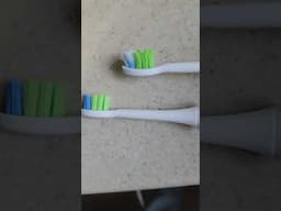 How to know when to replace Philips Sonicare electric toothbrush head brush