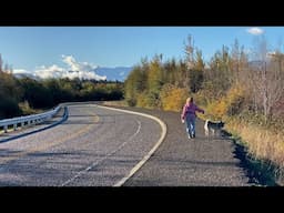 First Walk on the New Towne Road Dungeness Levee Trail