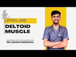 Deltoid muscle || Upper Limb Anatomy|| First Year MBBS || Anatomy lectures by Ashish