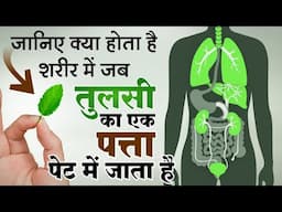 Unknown Health Benefits of Tulsi Holey Basil | तुलसी खाने का सही तरीका और अद्भुत फायदे