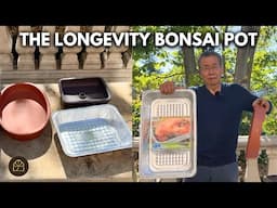 How to Keep Your Bonsai Hydrated While on Vacation!