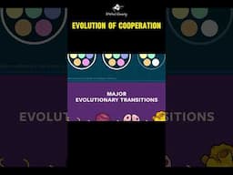 Evolution of cooperation!