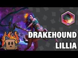 Drakehounds Lillia | Path of Champions