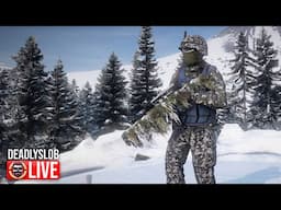 🔴DayZ Frostline - Late Night Adventures