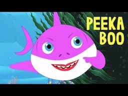 Baby Shark Peekaboo Song by FunForKidsTV - Nursery Rhymes & Songs