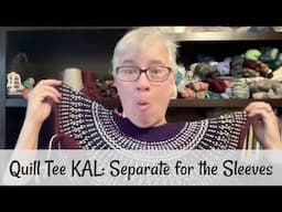 Quill Tee KAL: Separate for the Sleeves