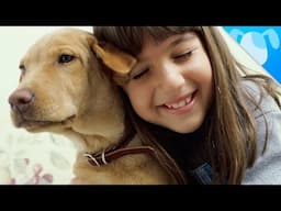 7 Reasons Your Kid Needs a Dog