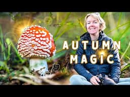 Exploring the Magic of Autumn: Photographing Fungi on the Woodland Floor