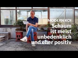 Was bedeutet der Schaum in meinem Skimmer | Modern Koi Blog #7034