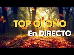 En Directo : Top Otoño diseñador 2024 🍂🔝