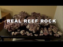 Real Reef Rock: Unboxing 80 lbs!