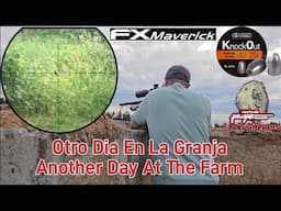 Otro Dia En La Granja | Another Day At The Farm | Leo's Airguns