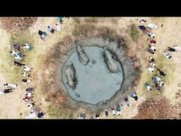 THIS Huge Elephant came in search of food & accidentally fell in to a PIT, people rushed to save him