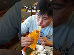 I tried the BEST Tacos in Santa Ana! 🌮 California Taco Tour!