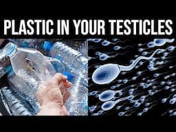 There are Microplastics in Your Testicles - Here's What You Can Do About it