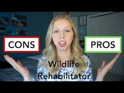 Pros and cons of being a wildlife rehabilitator and how I became one