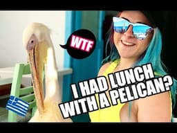 I HAD LUNCH WITH A PELICAN?! || Mykonos Vlog 2