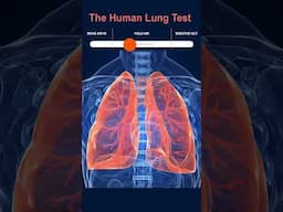 Test Human Lungs