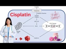 Discover Cisplatin: The Powerful Anti-Cancer Drug You Need to Know (21 Minutes)