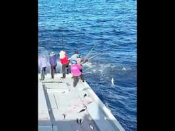 #youtubeshorts #shortsfeed #shorts #skipjacktuna #fishing #shortsviral #short #thelifeofafisherman