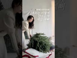 트리 & 전구설치법 💫 영상하나로 완벽정리🎄 #트리설치법 #트리전구