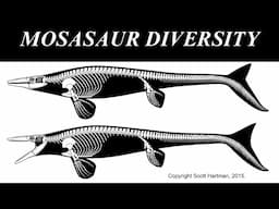 A Brief Video on Mosasaur Diversity (Part of an Upcoming Project)