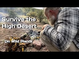 Surviving the High Desert:  Thriving on Wild Plants Part 1 (Minimal Gear Including a Pick Mattock)