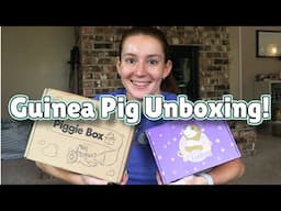 My Favorite Guinea Pig Subscription Boxes! 🐹📦✨