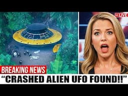 A UFO Crashed In Virginia, What Happened Next Terrified Everyone!