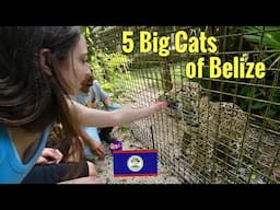 Belize Zoo and Tropical Education Center