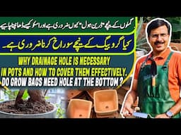 Why DRAINAGE HOLE is necessary in pots and how to cover them effectively | Gardening With Javed