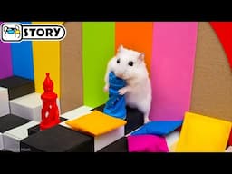 🐹 Hamster in the Awesome Circus Maze - Shorts 🐹 Homura Ham Pets