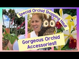 Super Orchid Haul from Local Miami Fair & accessories!